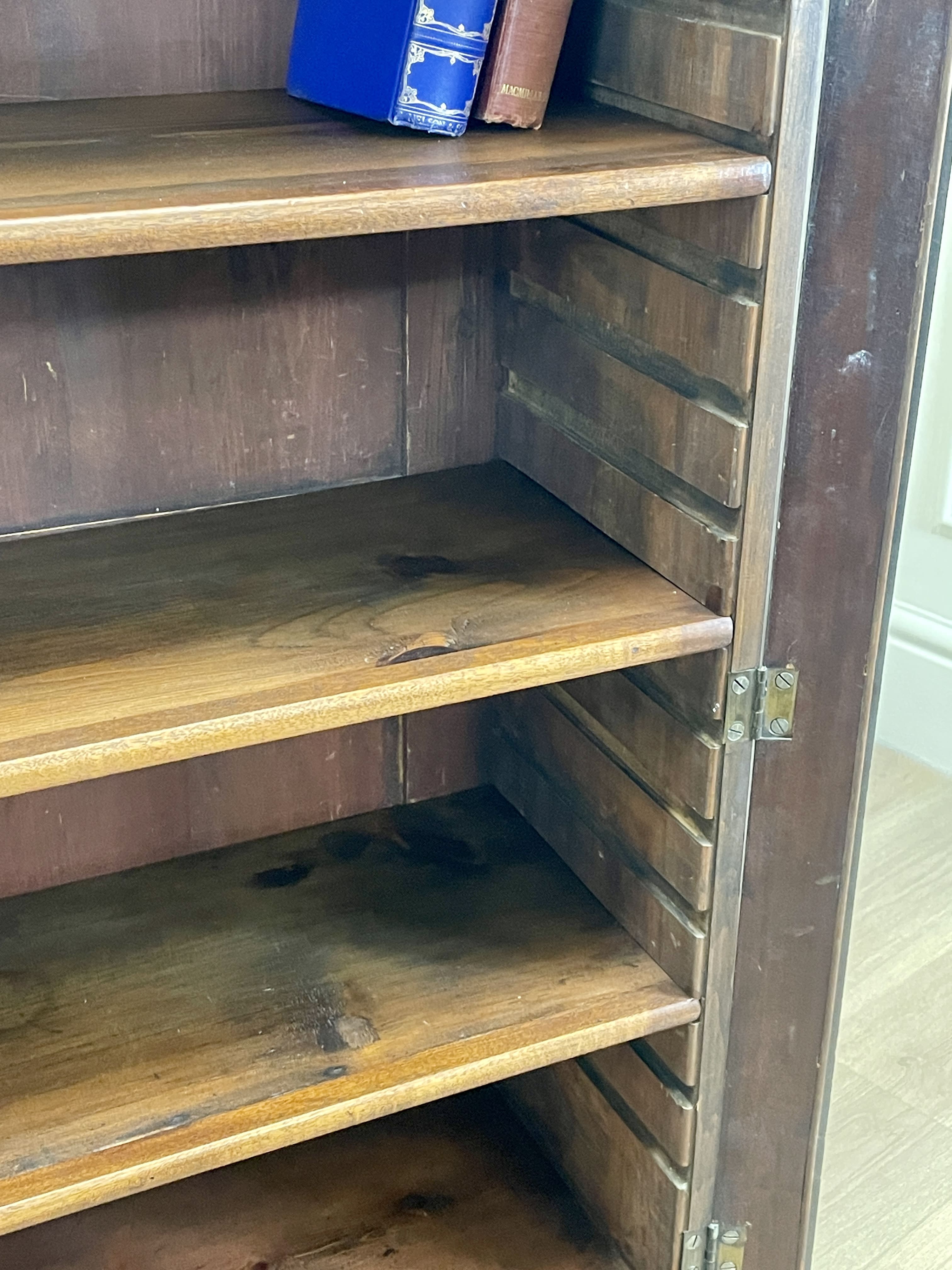 Wooden bookshelf with a lizard on one of the shelves