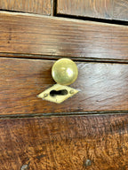 Brass doorknob on a wooden door