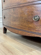 antique-georgian-farmhouse-bow-front-chest-of-drawers