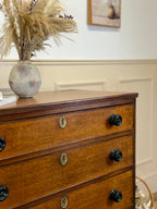 Wooden dresser with black knobs and a vase of pampas grass on top.