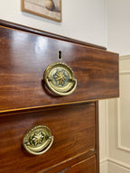 Wooden drawer with brass handles on a white wall background