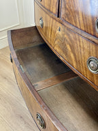 ntique Regency mahogany bowfront chest of drawers with two short over three long drawers, ideal chest of drawers for bedroom in a cottage interior.
