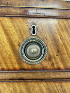 ntique Regency mahogany bowfront chest of drawers with two short over three long drawers, ideal chest of drawers for bedroom in a cottage interior.