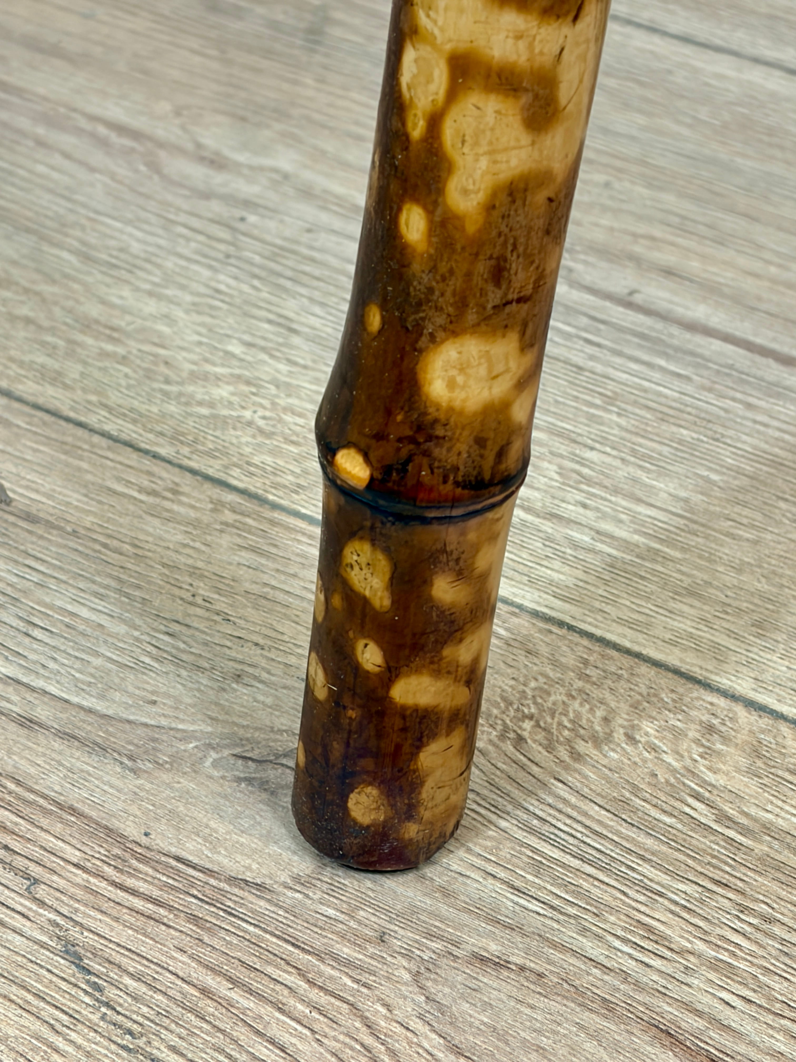 Bumpy brown stick on a wooden surface