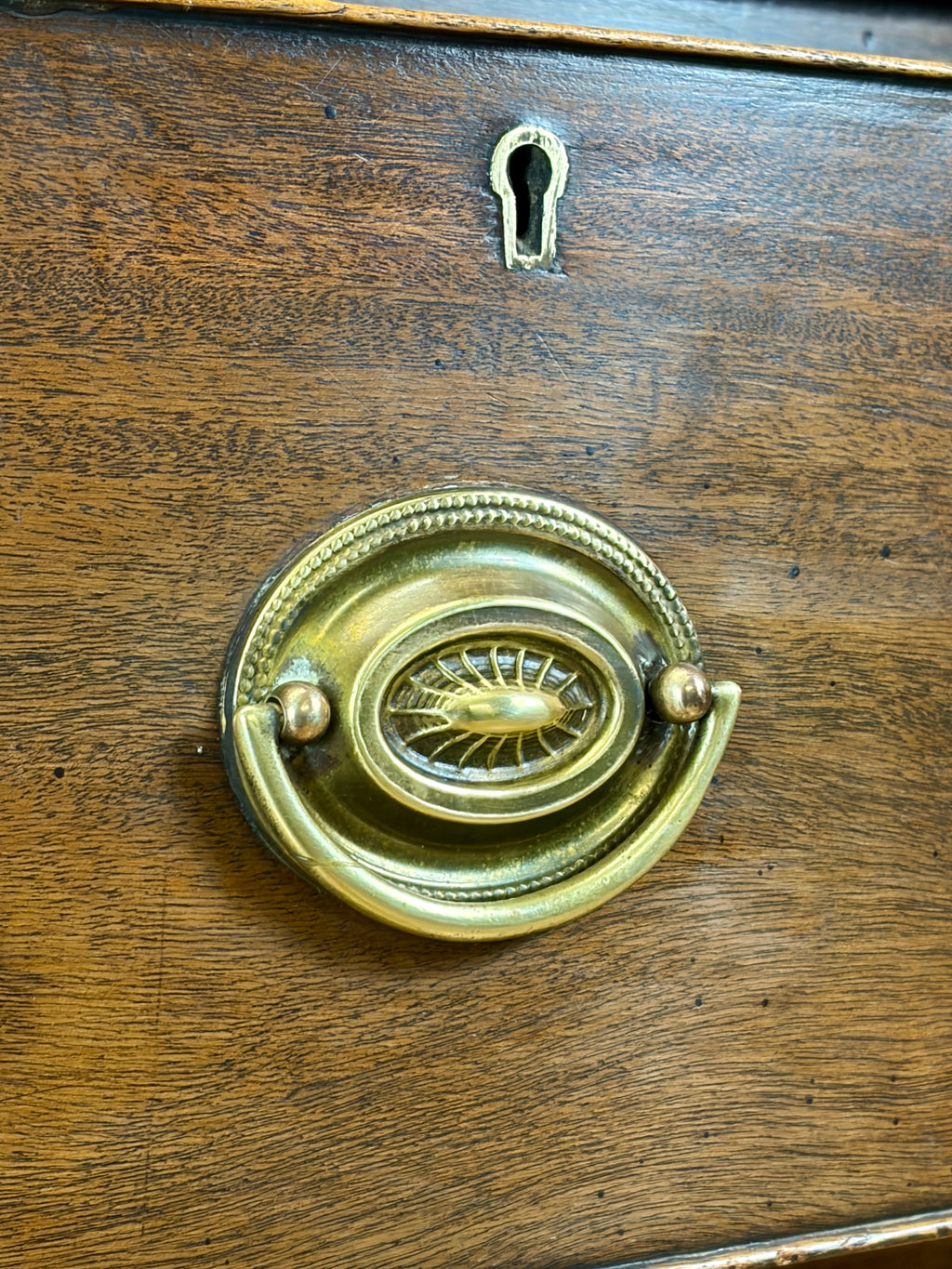 Decorative brass door knocker on a wooden door