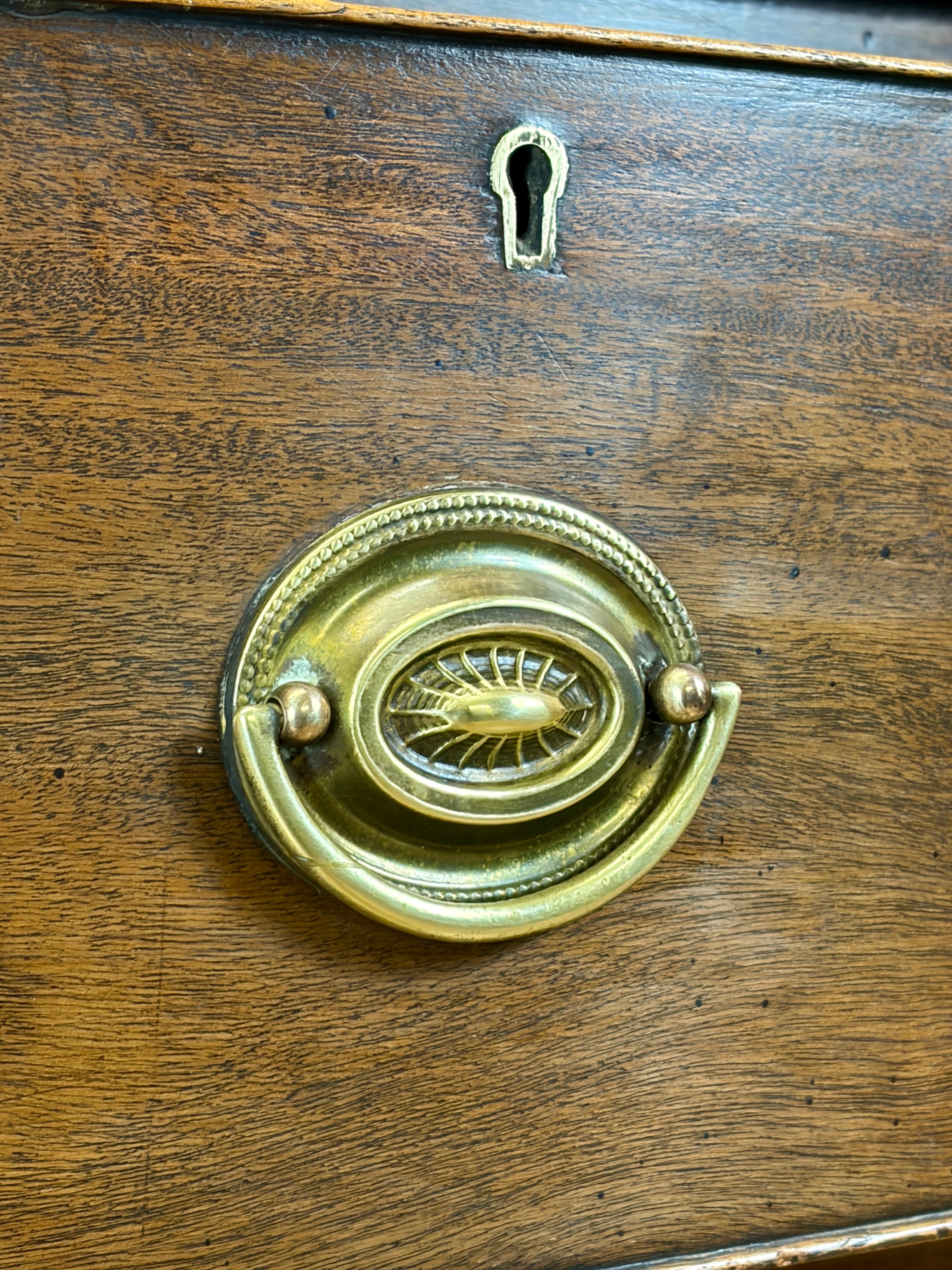 Decorative brass door knocker on a wooden door